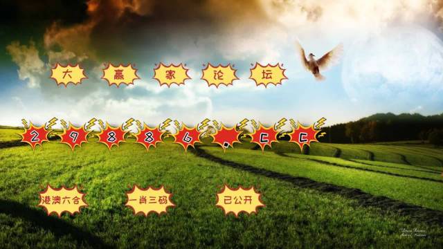 澳门彩,探索今日最新开奖记录的奇妙之旅新澳门开奖结果2020+开奖记录_