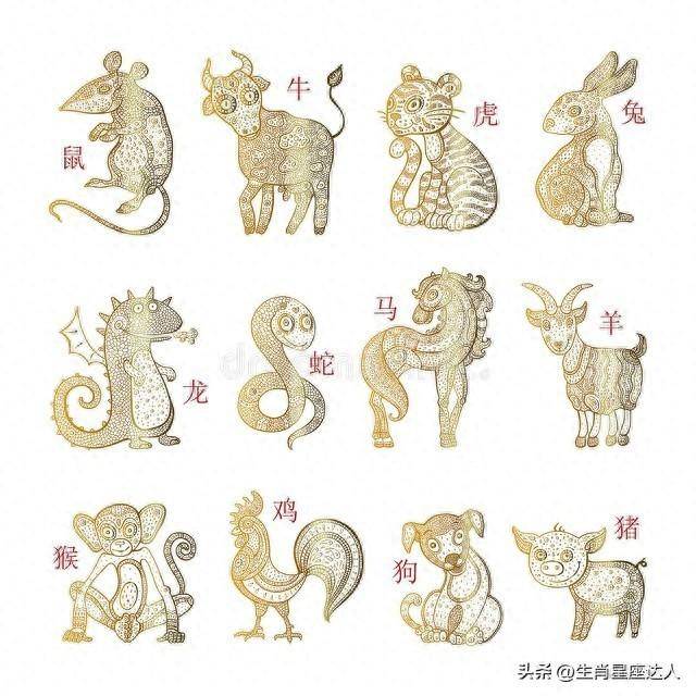 澳门十二生肖新采资料,文化寓意与现代解读2020年澳门六采