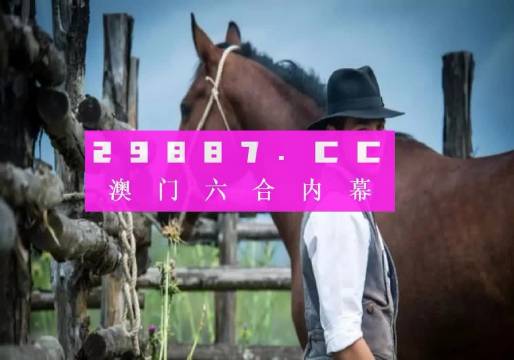 澳门视频猜测大全，最新一期揭秘与深度分析新澳门小视频