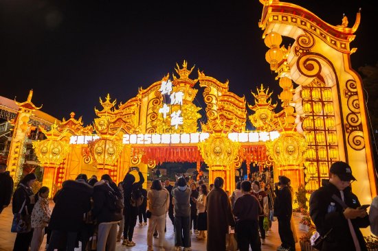 澳门新十二生肖，夜幕下的幸运之谜澳门十二生肖晚上开什么生肖准确点