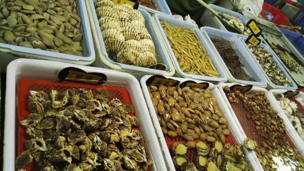 澳门新政策，免费金原料的革新之举澳门来料