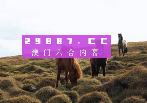 澳门新开奖记录，今日结果查询与手机版下载指南澳门开奖结果 新闻